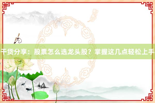 干货分享：股票怎么选龙头股？掌握这几点轻松上手
