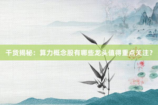 干货揭秘：算力概念股有哪些龙头值得重点关注？