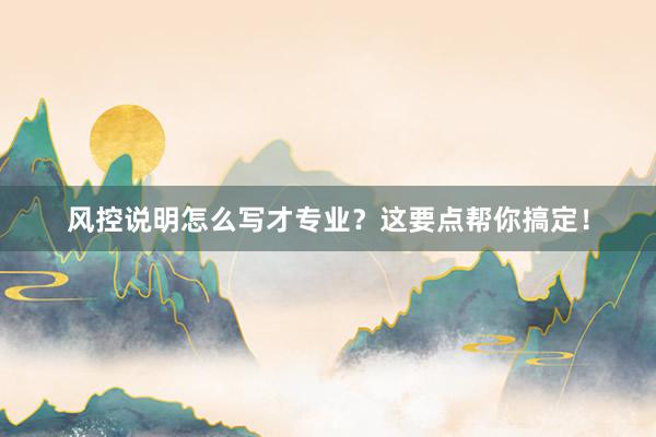 风控说明怎么写才专业？这要点帮你搞定！