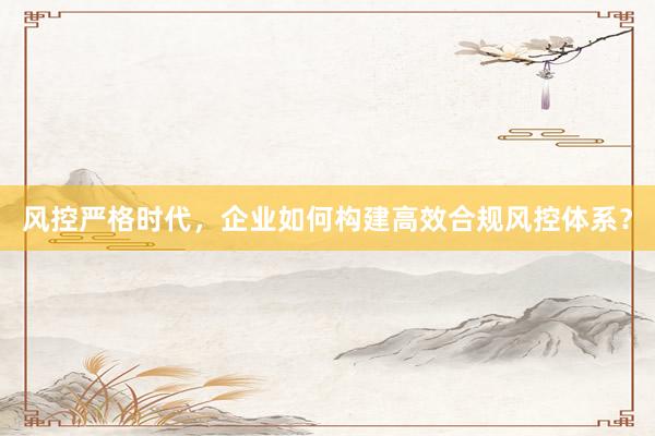 风控严格时代，企业如何构建高效合规风控体系？