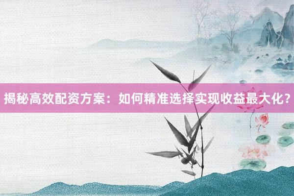 揭秘高效配资方案：如何精准选择实现收益最大化？