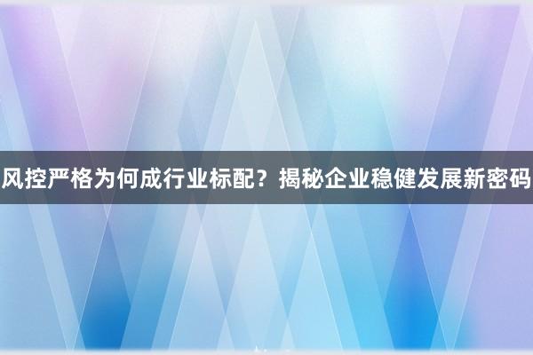 风控严格为何成行业标配？揭秘企业稳健发展新密码
